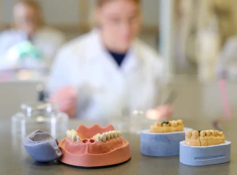 Odontology student