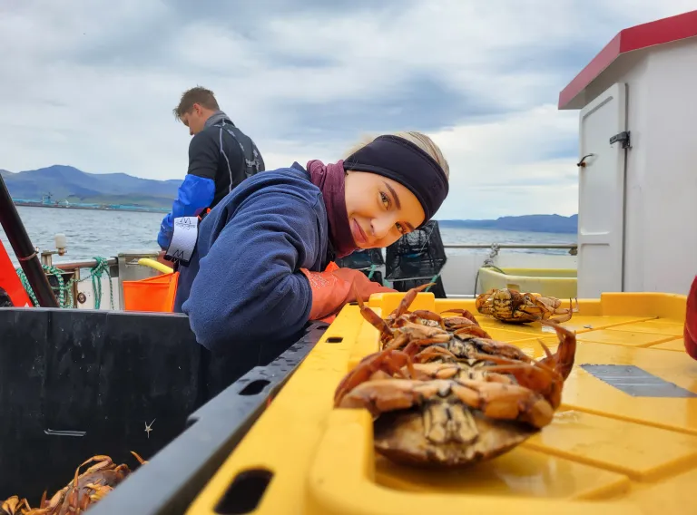 Rannsóknir á kröbbum