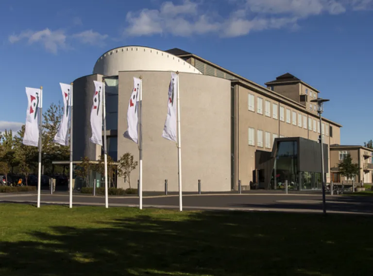 Rannsóknaumhverfið á Íslandi