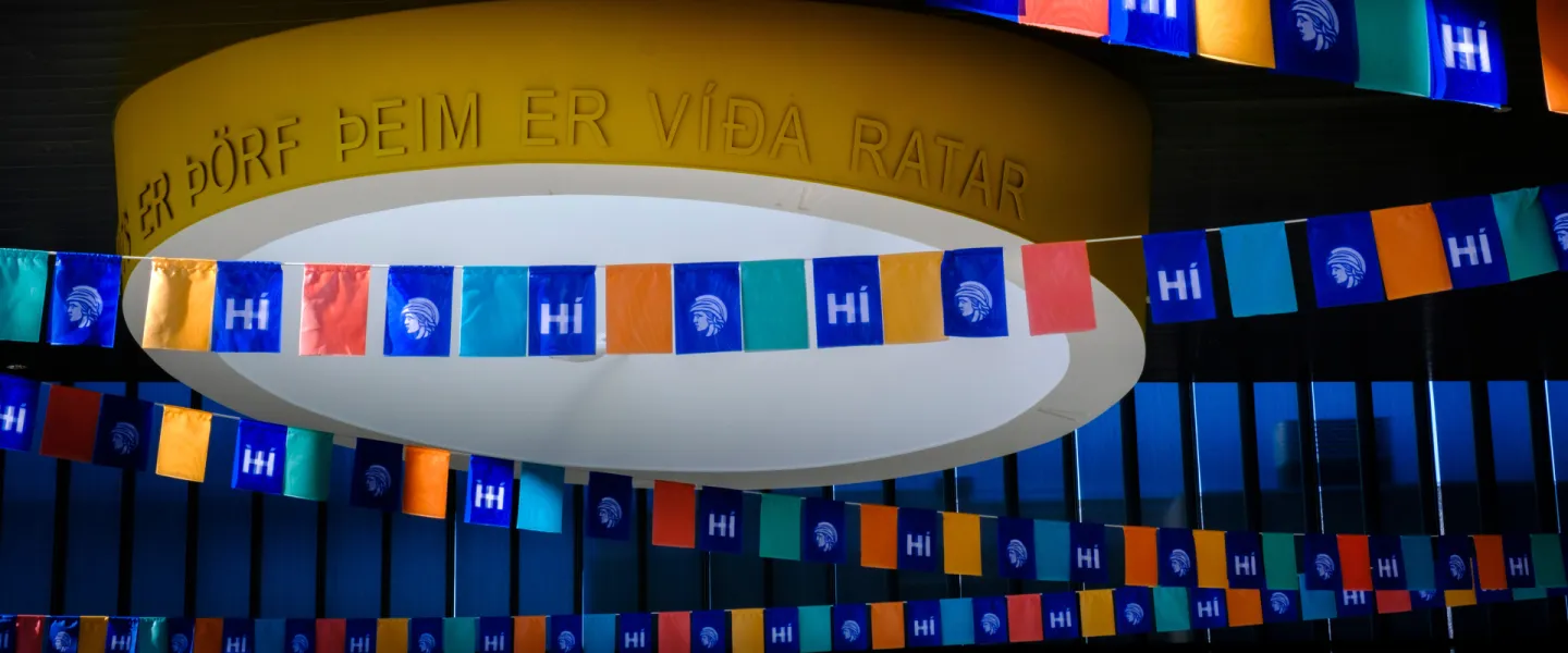 Háskólatorg, Vits er þörf