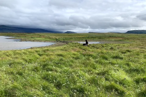 Staðartengd útimenntun - sumarnámskeið