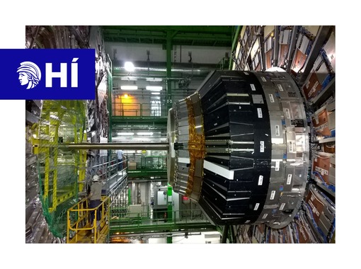 CERN, LHC og Higgs bóseindin