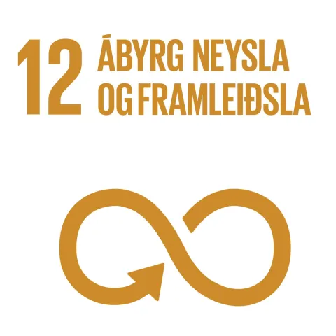 Heimsmarkmið 12: Ábyrg neysla og framleiðsla
