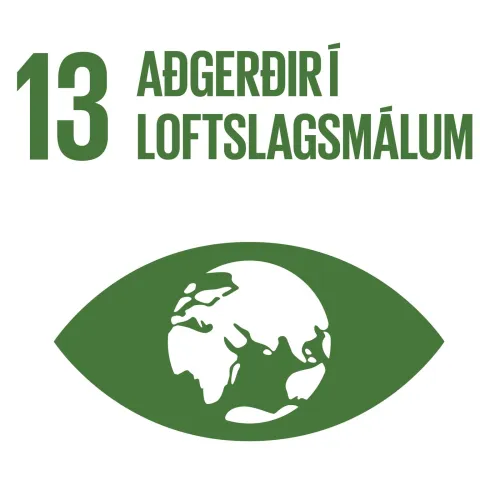 Heimsmarkmið 13: Aðgerðir í loftslagsmálum