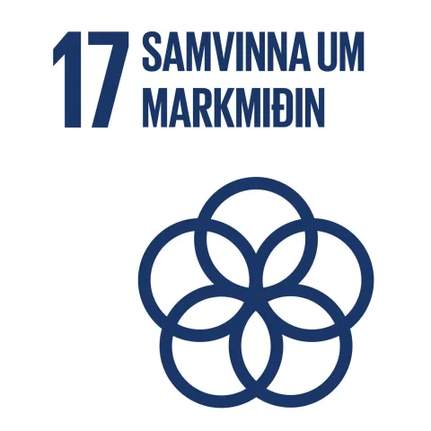 Heimsmarkmið 17: Samvinna um markmiðin